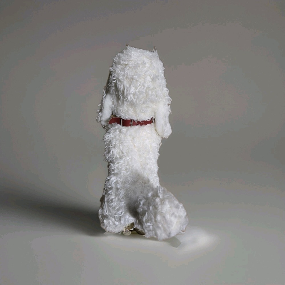 Steiff AKC 12" Poodle Plush American Kennel Club FAO‎ 667923 NWT New 2004 - Picture 8 of 8